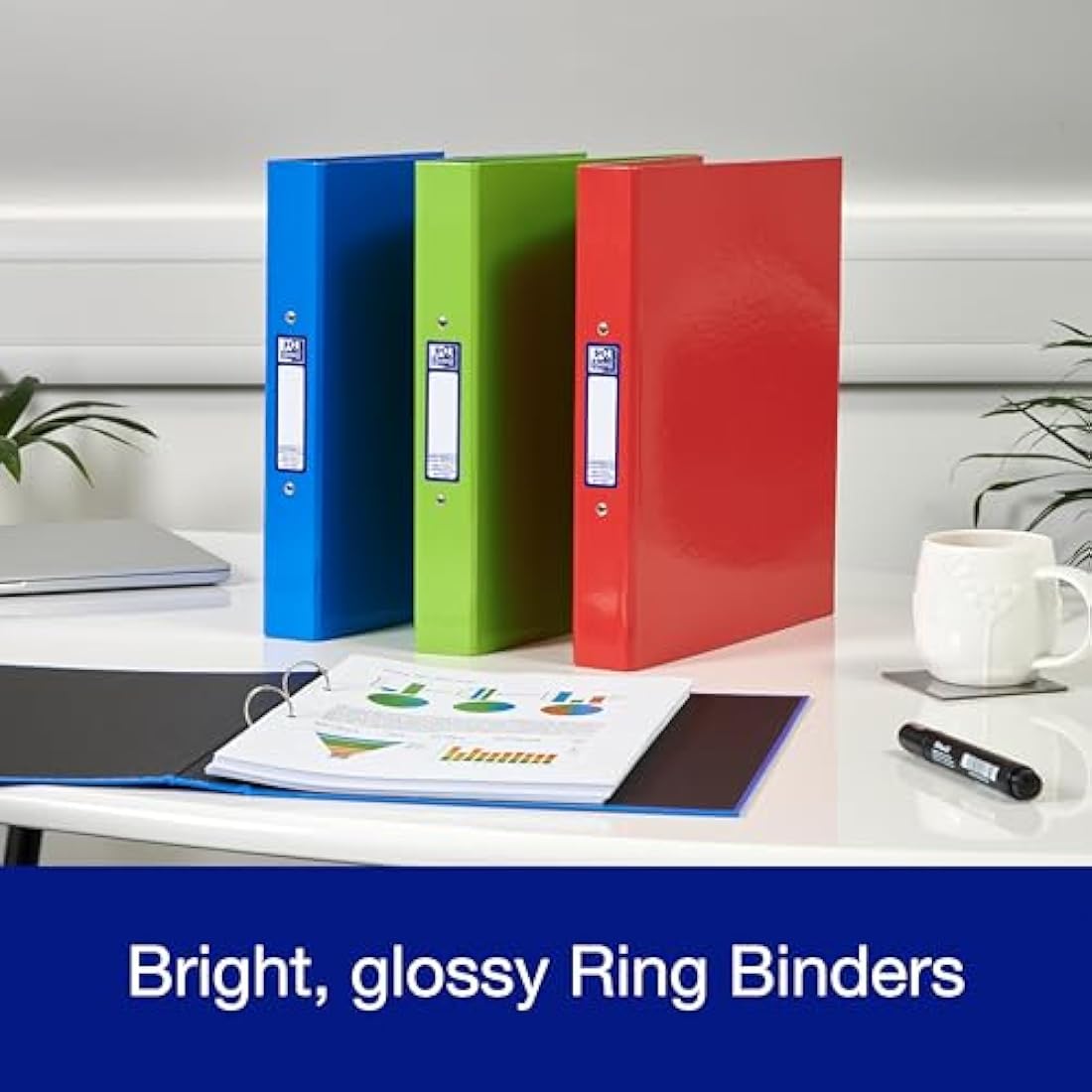 Oxford A4 Ring Binders - Pack of 3 Durable Folders, 40mm Spine