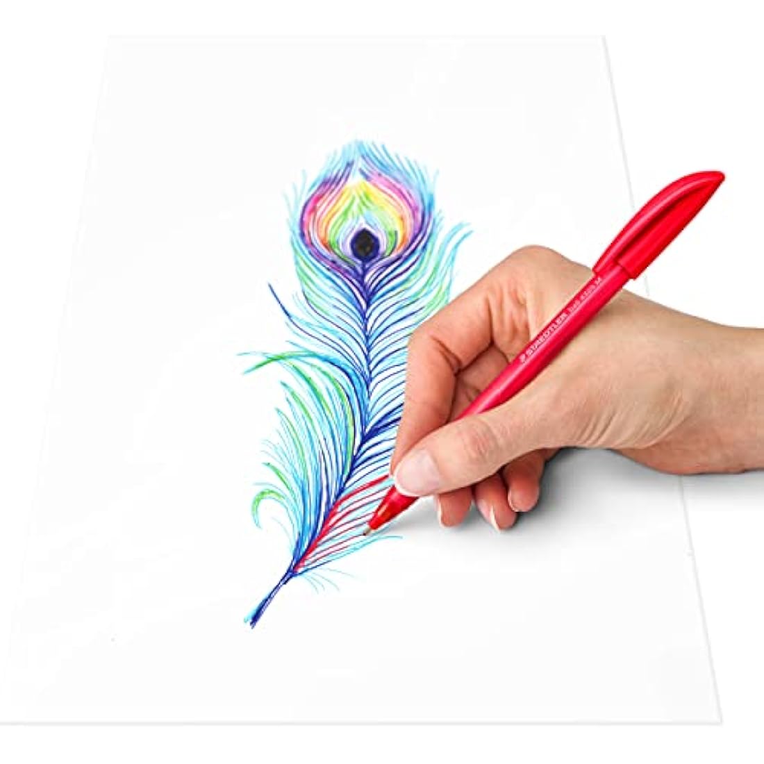 Staedtler Rainbow Ballpoint Pens | Medium Point Assorted | 50 Pack