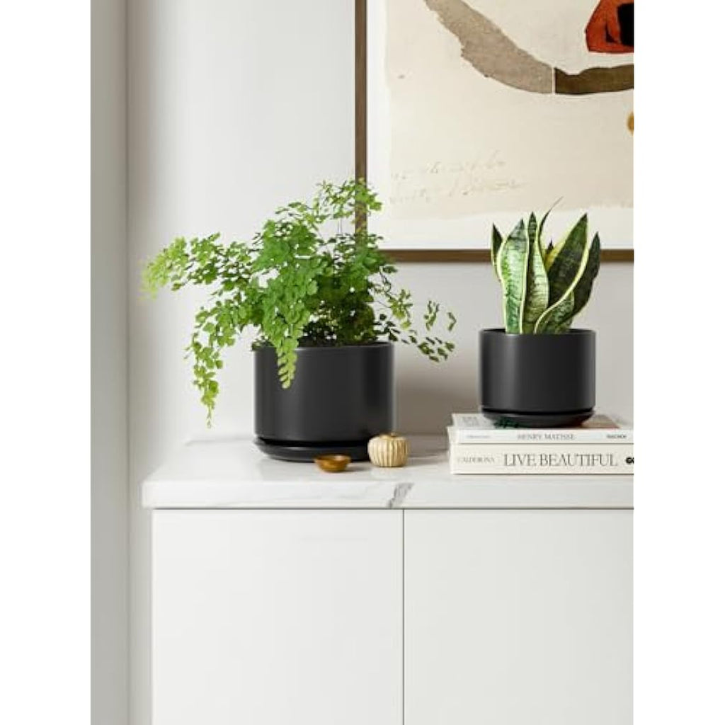 LE TAUCI Ceramic Planters | Set of 3 Indoor Flower Pots with Drainage
