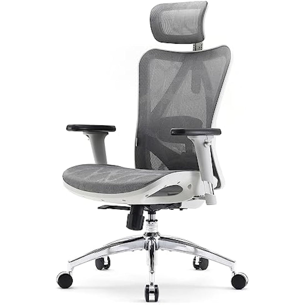 SIHOO Ergonomic Mesh Office Chair | 3D Armrests & Lumbar Support - Gray