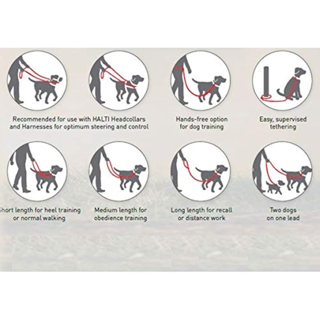 Halti Double-Ended Dog Lead | Reflective Neoprene Training Leash, Red, Small