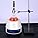 Labasics Heating Mantle with Magnetic Stirrer | 500ml, 450°C, 1400 RPM