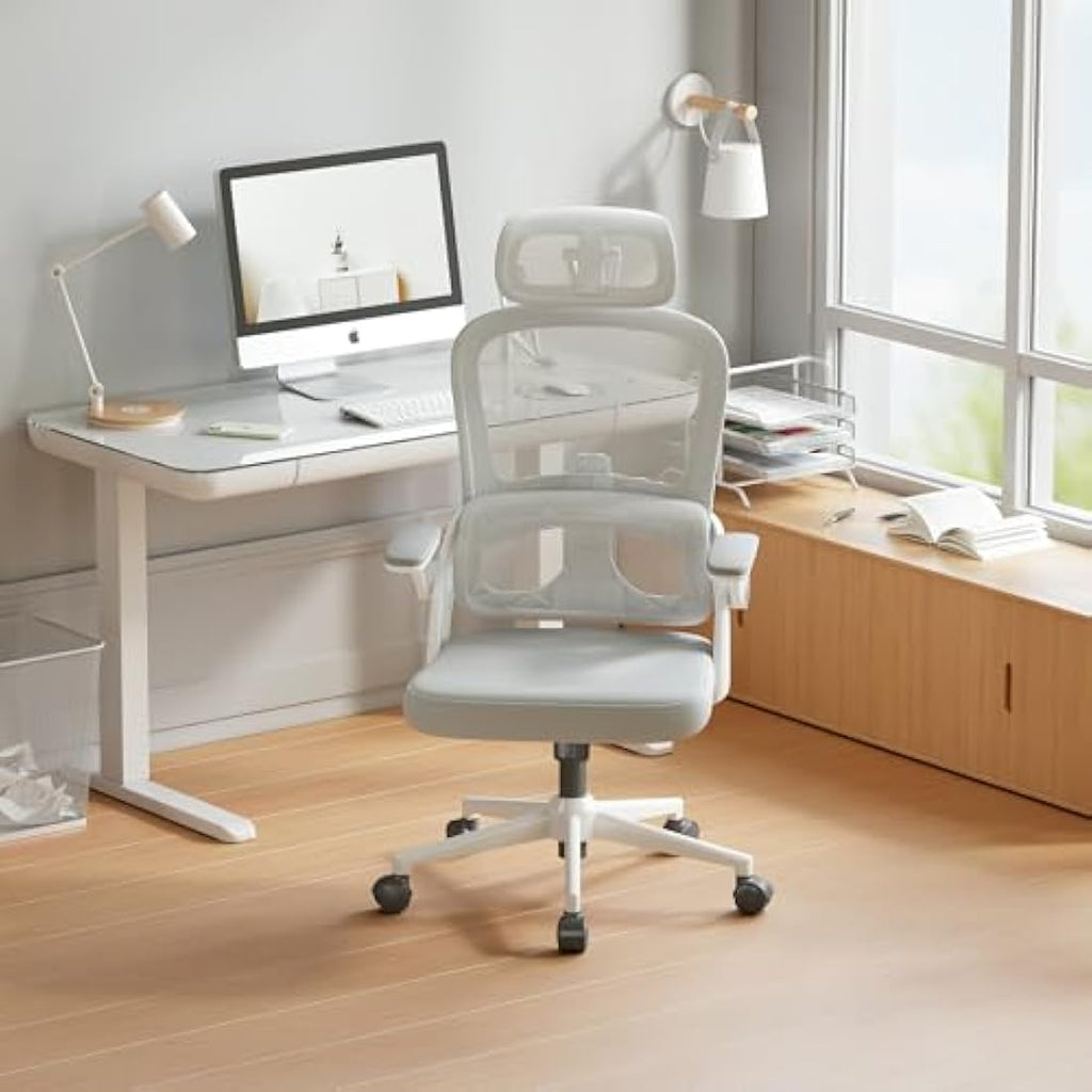 SIHOO M102C Ergonomic Mesh Office Chair | High Back Desk Chair with Lumbar