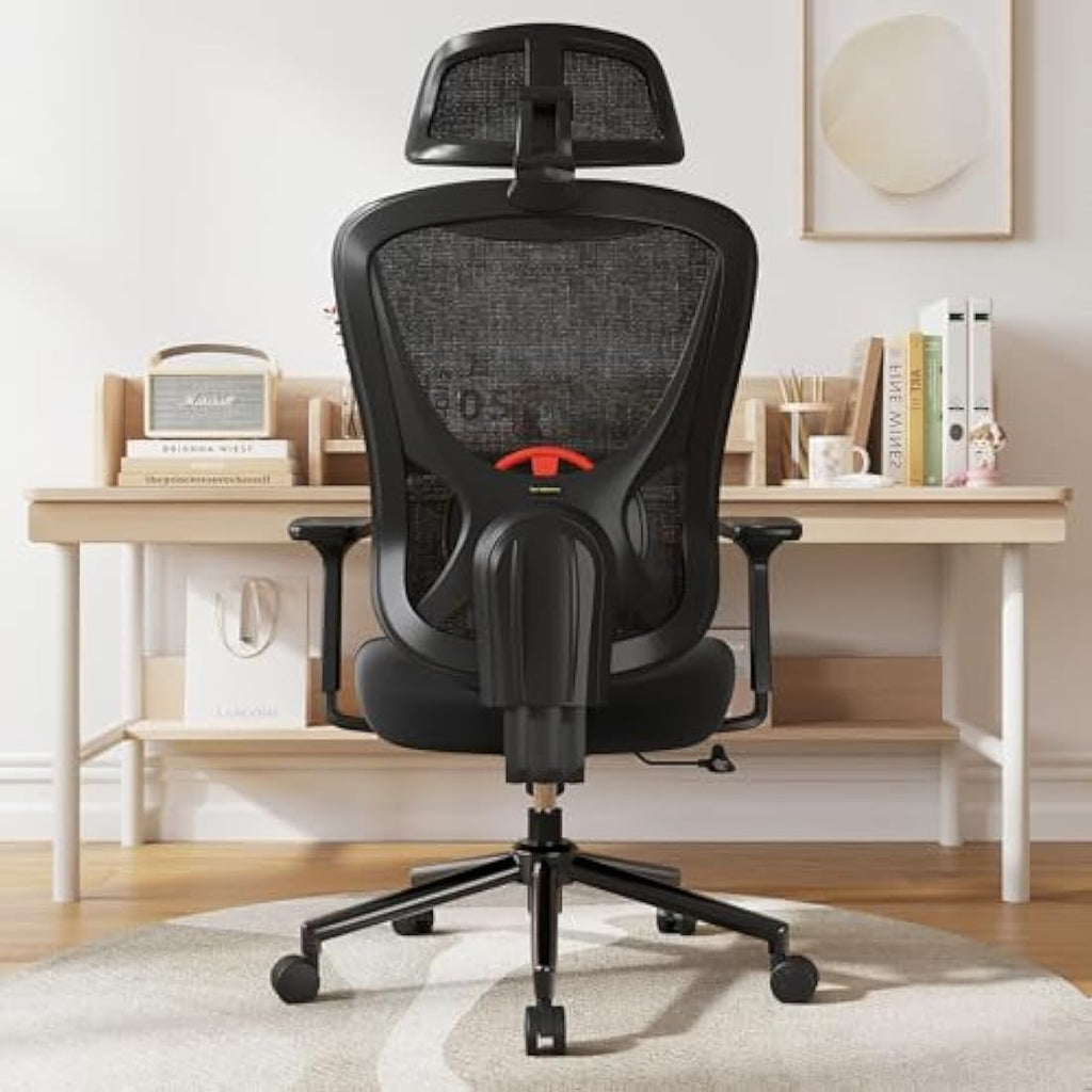 Eucladoceros Ergonomic Mesh Office Chair | 3D Lumbar Support & Armrests