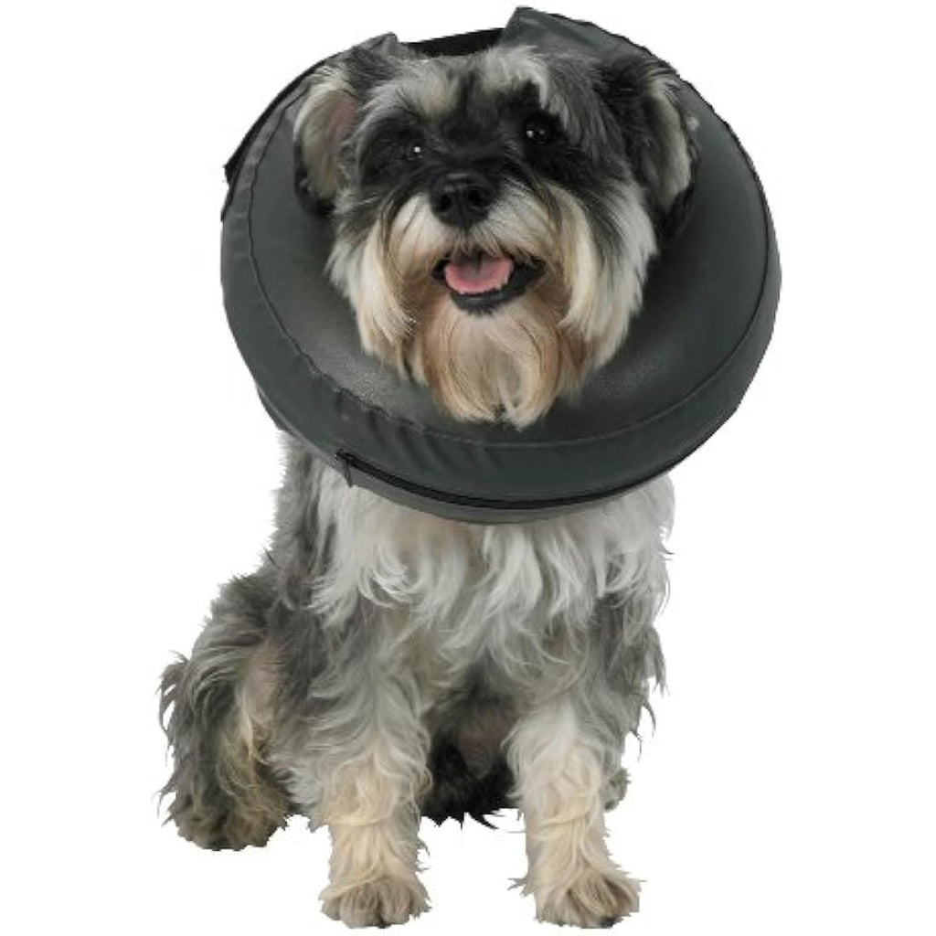 Jolof Store Pet Recovery E-Collar – Adjustable Comfy Cone, Medium