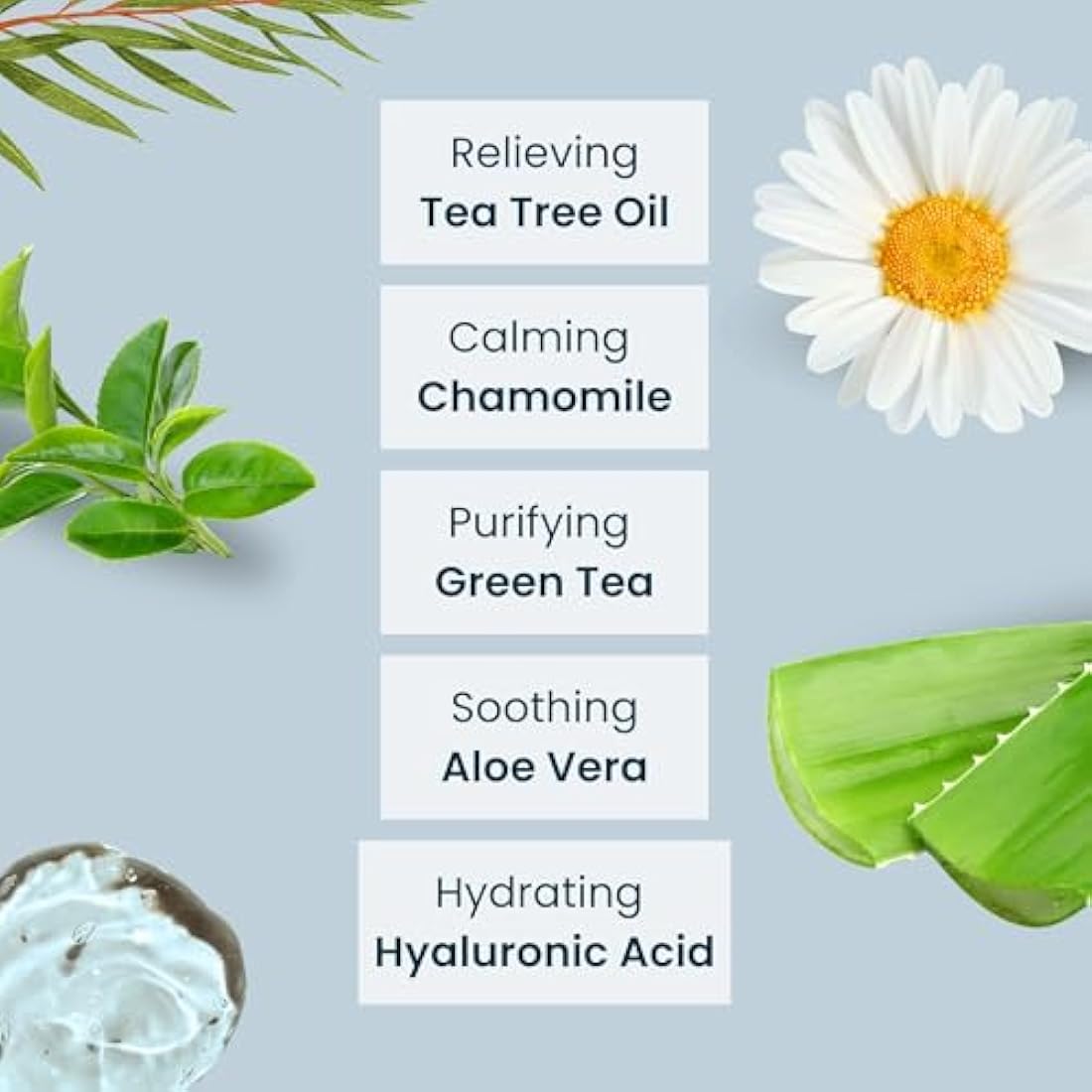 NOVEHA Tea Tree Oil Eyelid Wipes – 2PK Cleanser for Blepharitis