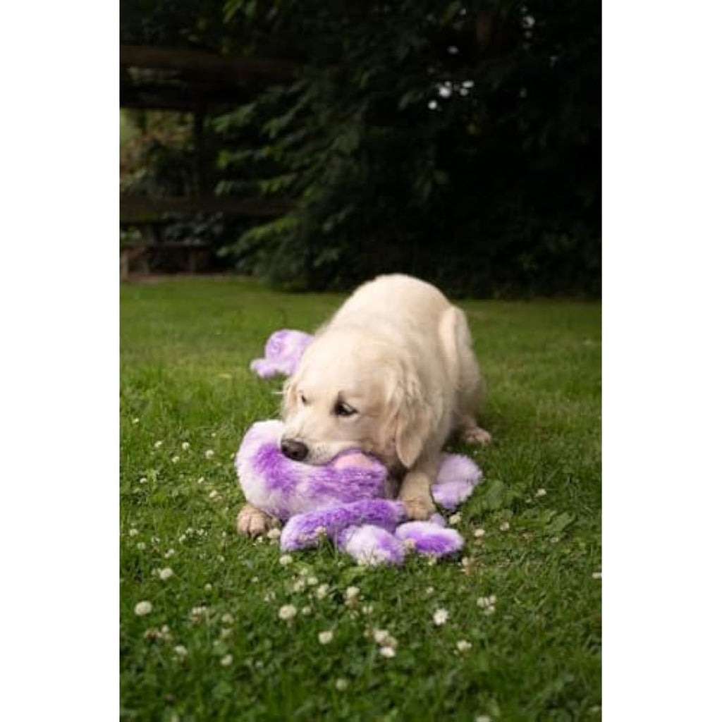Petface Orla the Octopus Plush Dog Toy – Large Squeaky Interactive Toy