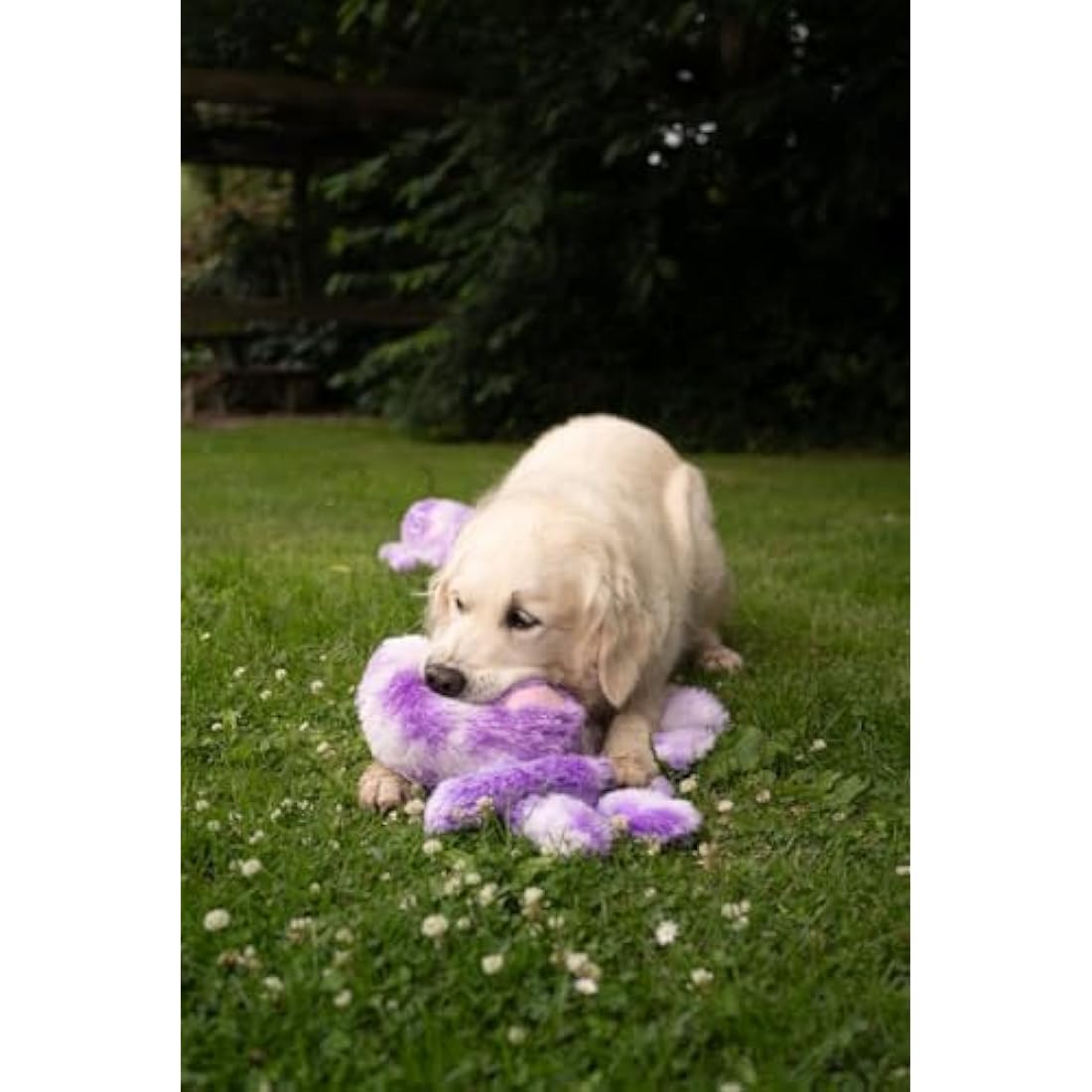 Petface Orla the Octopus Plush Dog Toy – Large Squeaky Interactive Toy