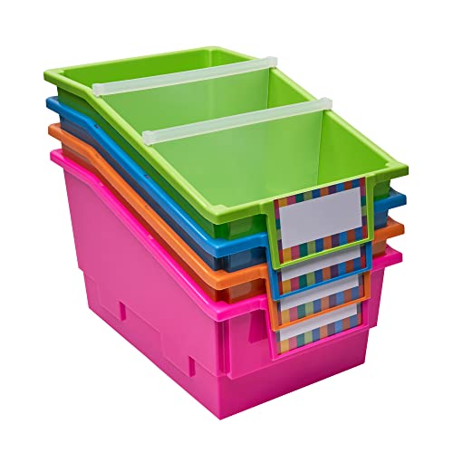 Neon Chapter Book Library Bins with Dividers - 6 Pack