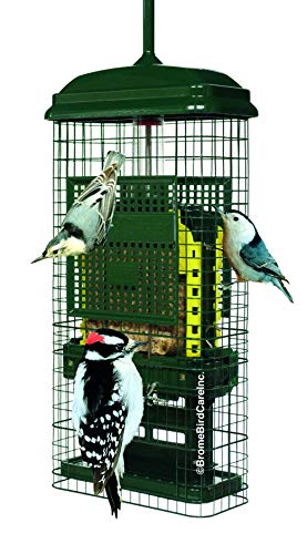 Squirrel Buster Suet Bird Feeder – Squirrel-Proof with 2 Cake Trays