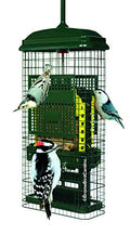 Squirrel Buster Suet Bird Feeder – Squirrel-Proof with 2 Cake Trays