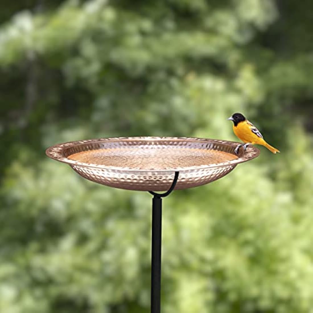 Good Directions 18" Pure Copper Bird Bath with 4-Prong Garden Pole