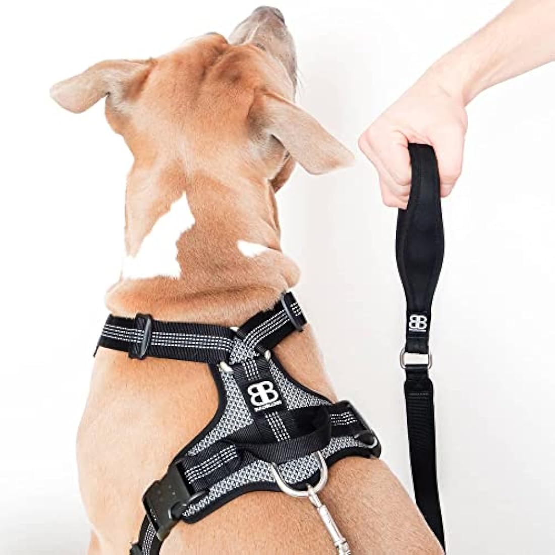 BullyBillows Active Light Dog Harness – Reflective Padded Vest, Grey Small