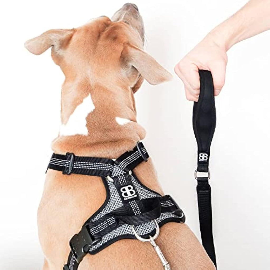 BullyBillows Active Light Dog Harness – Reflective Padded Vest, Grey Small