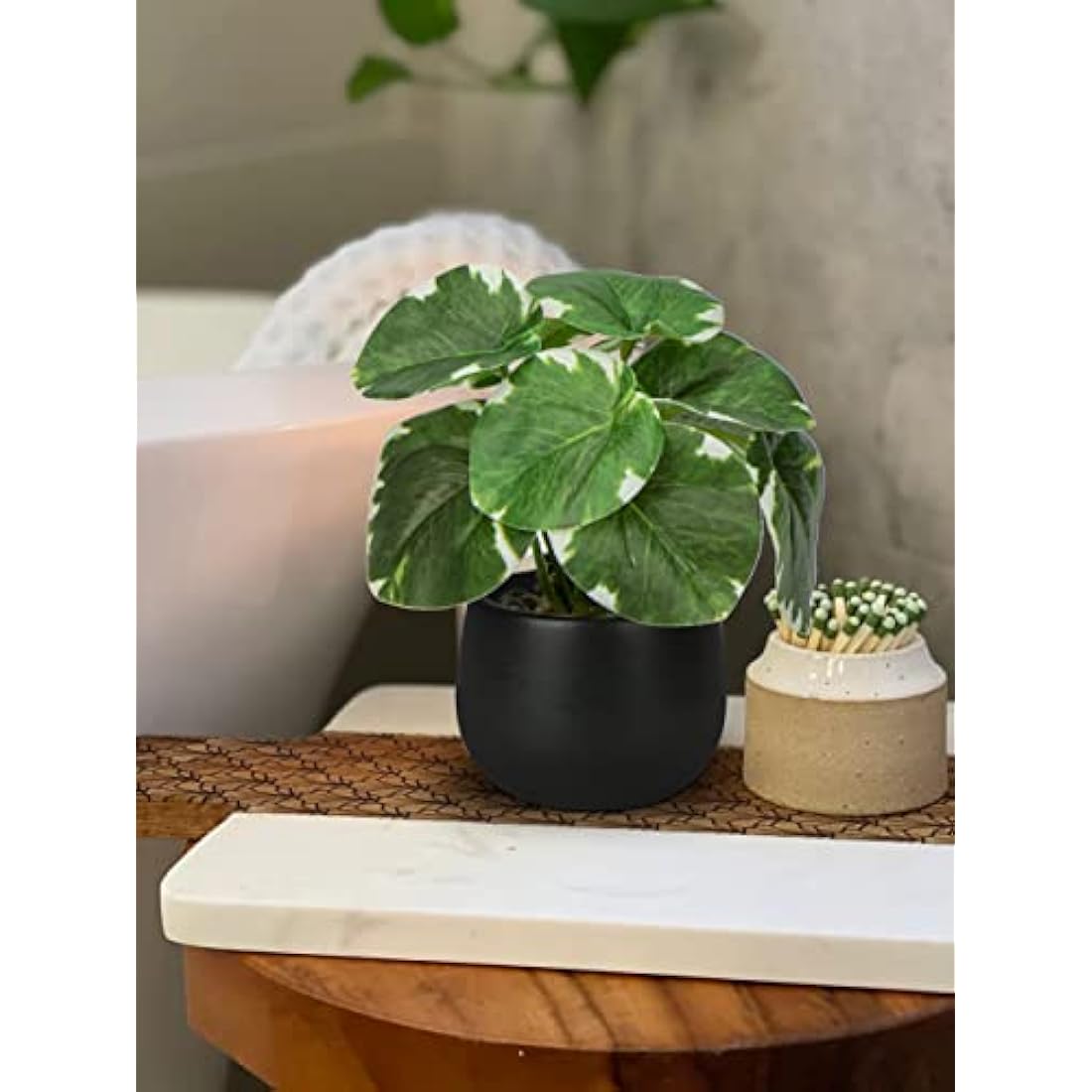 Jolof Store Set of 3 Small Artificial Potted Plants in Ceramic Pots