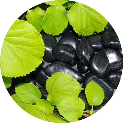 Jolof Store Polished Black River Pebbles – 15kg Decorative 20-40mm Stones