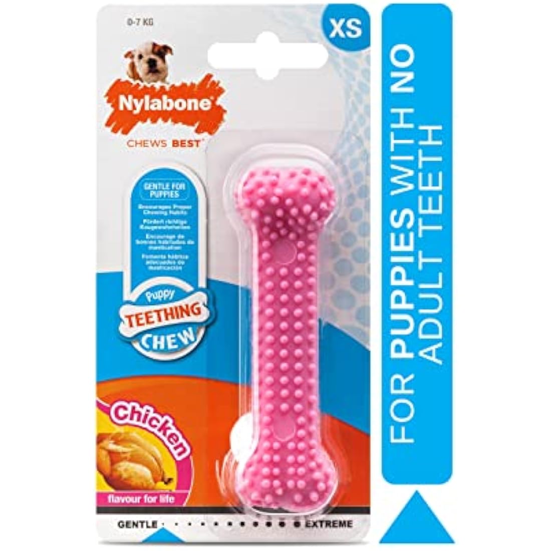 Nylabone Puppy Teething Dental Chew Toy – Chicken Flavor, Pink, XS