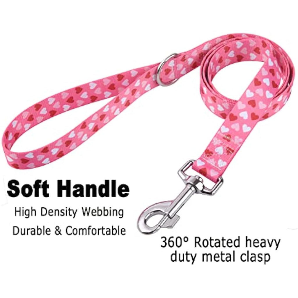 Valentine's Day Dog Collar and Leash Set - Pink Heart - Medium