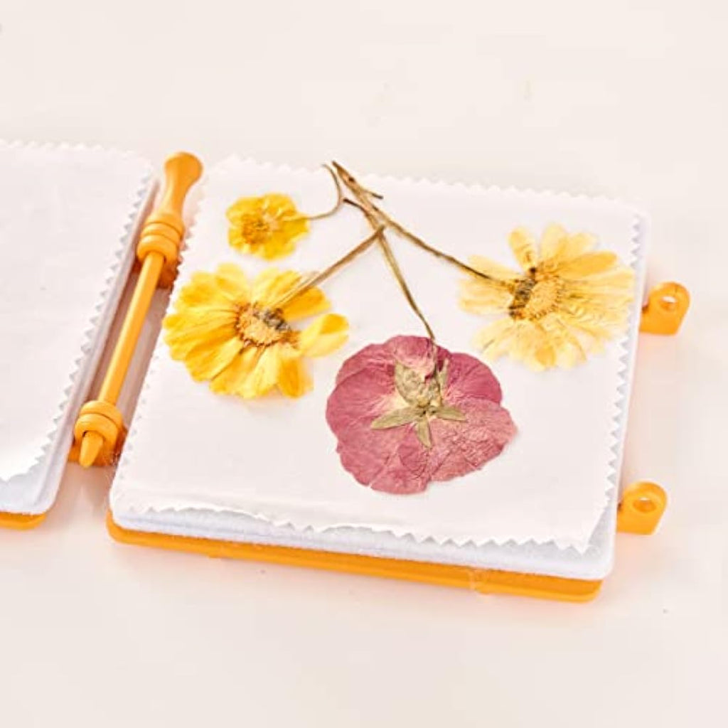 My Living World Flower Press Kit – Creative Nature Arts and Crafts