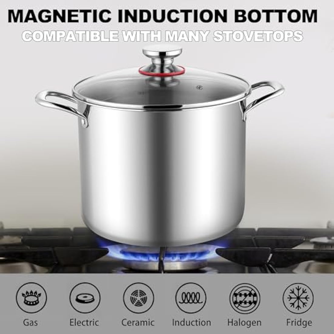 Joyfair 10L Stainless Steel Stock Pot | Tri-Ply Induction Soup Pot