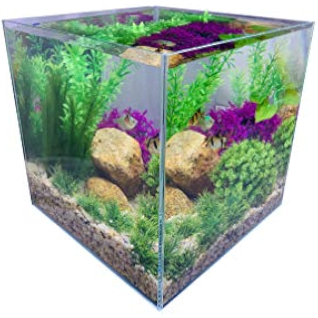 Rimless Low Iron Glass Nano Aquarium Tank | 7L Desktop Cube