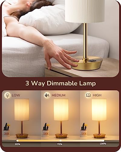 EDISHINE Touch Table Lamps Set of 2 | Gold Dimmable USB Bedside Lamps