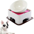 Ceramic Tilted Dog Bowl – Anti-Slip Feeder for Flat-Face Pets