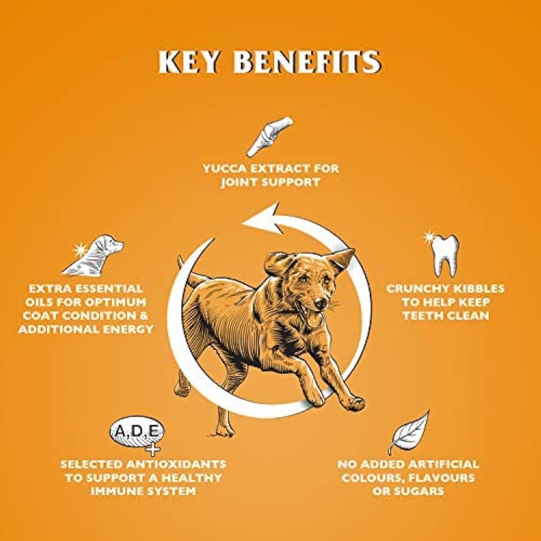 Dr John Gold Chicken & Vegetables Dry Dog Food - 15kg Complete Diet