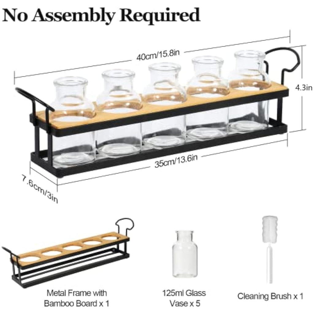THYGIFTREE Plant Propagation Station | 5 Glass Jars with Metal Stand