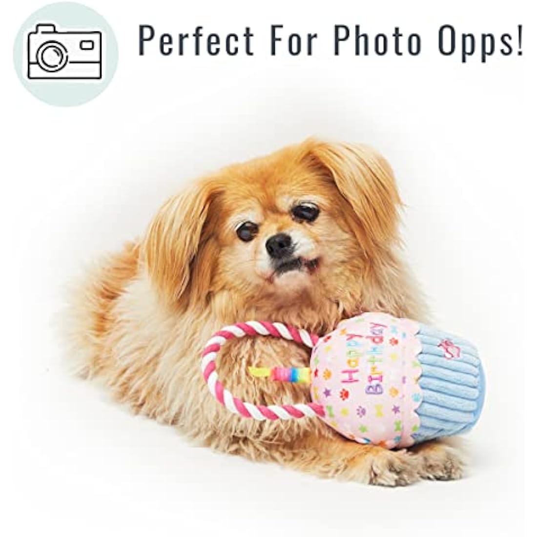 Pet London Happy Birthday Cupcake Dog Toy – Squeaky Rope Tug Gift