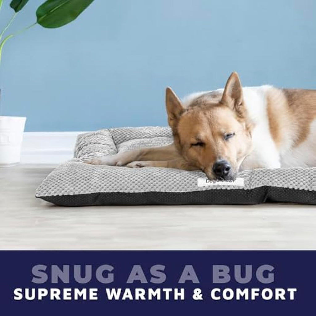 30-Inch Medium Foldable Dog Crate | 2-Door Metal Kennel