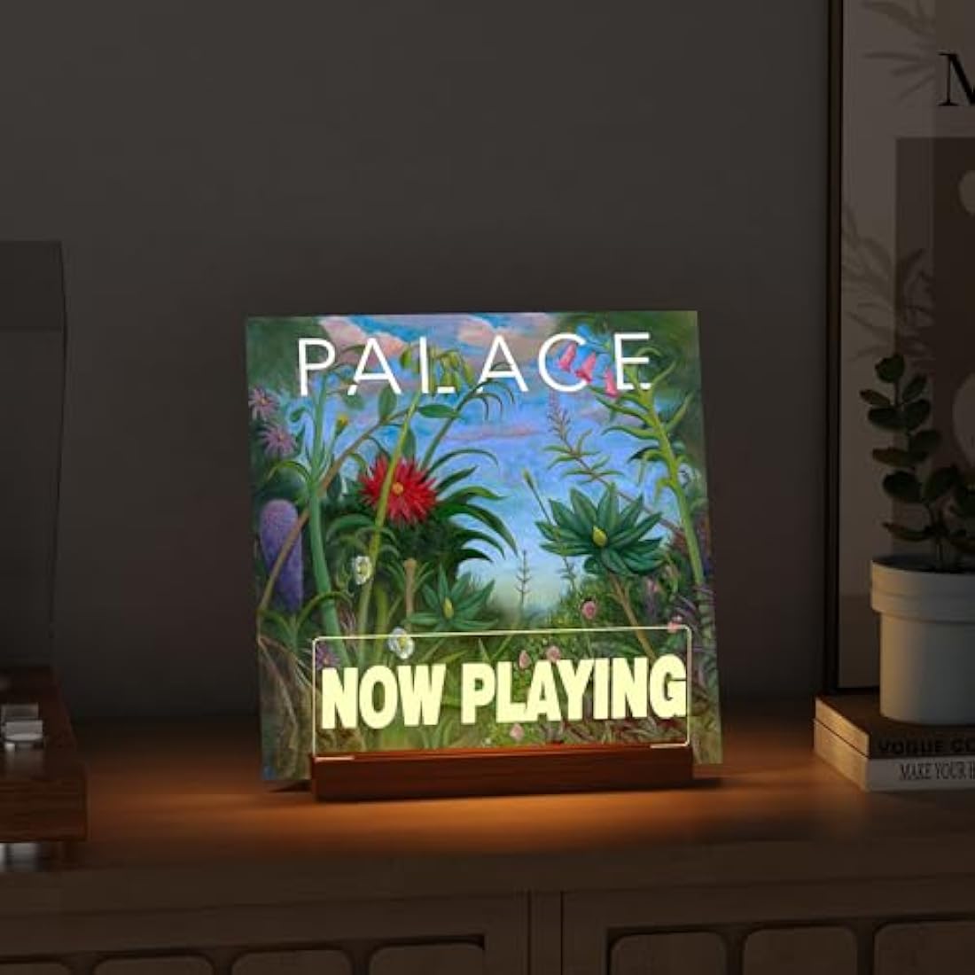 LED Vinyl Record Stand – Light Up Wood & Acrylic Album Holder