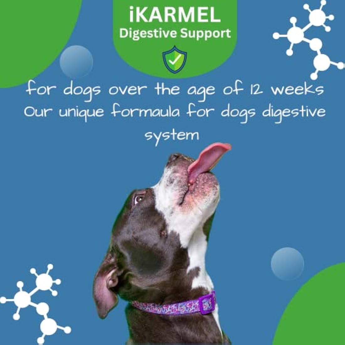Doggy Dailies Probiotics for Dogs – Digestive & Immune Support Chews