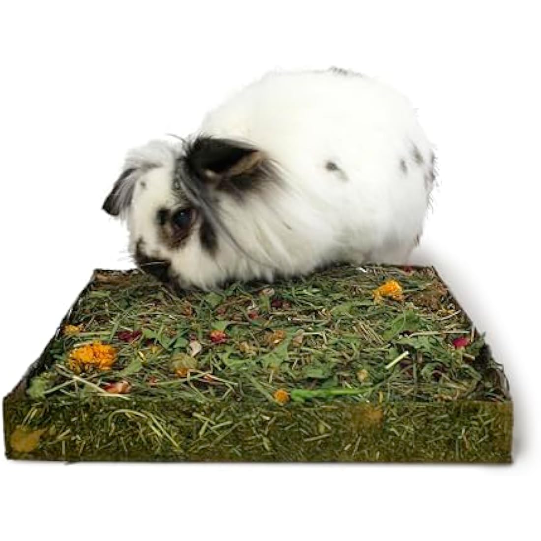 Rosewood Naturals Nibble 'n' Dig Meadow | Edible Small Animal Forage Toy