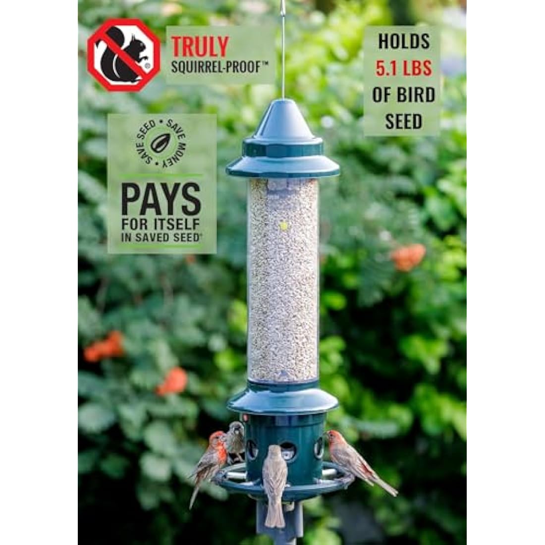 Jacobi Jayne Squirrel Proof Bird Feeder – Metal Buster Plus, Green
