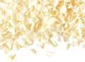 Barbara Decor White Chocolate Blossom Curls – 1kg Gourmet Topping
