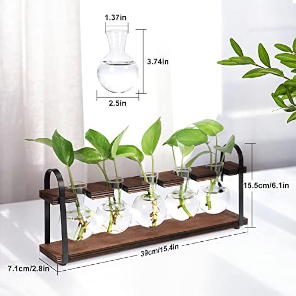 Jolof Store Retro Plant Propagation Station | Glass Bulb Vase Terrarium