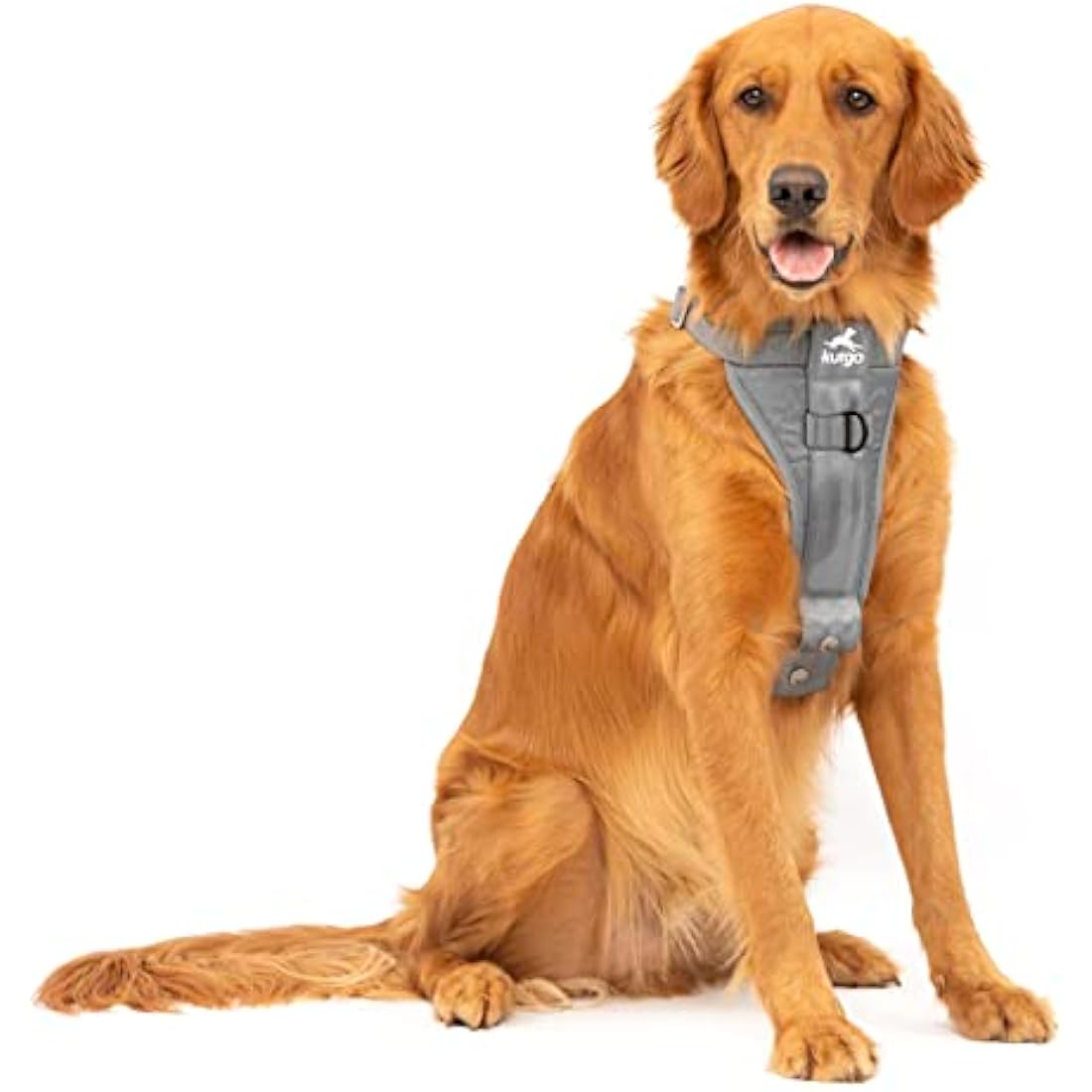 Kurgo Tru-Fit Smart Dog Harness | Crash Tested No-Pull Vest, Charcoal, Large
