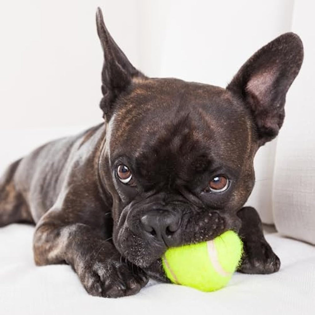 Indestructible Dog Tennis Balls – 20 Pack Durable Rubber Toys