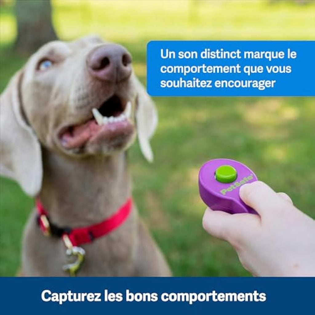 PetSafe Clik-R Dog Training Clicker – Positive Reinforcement Tool, Purple