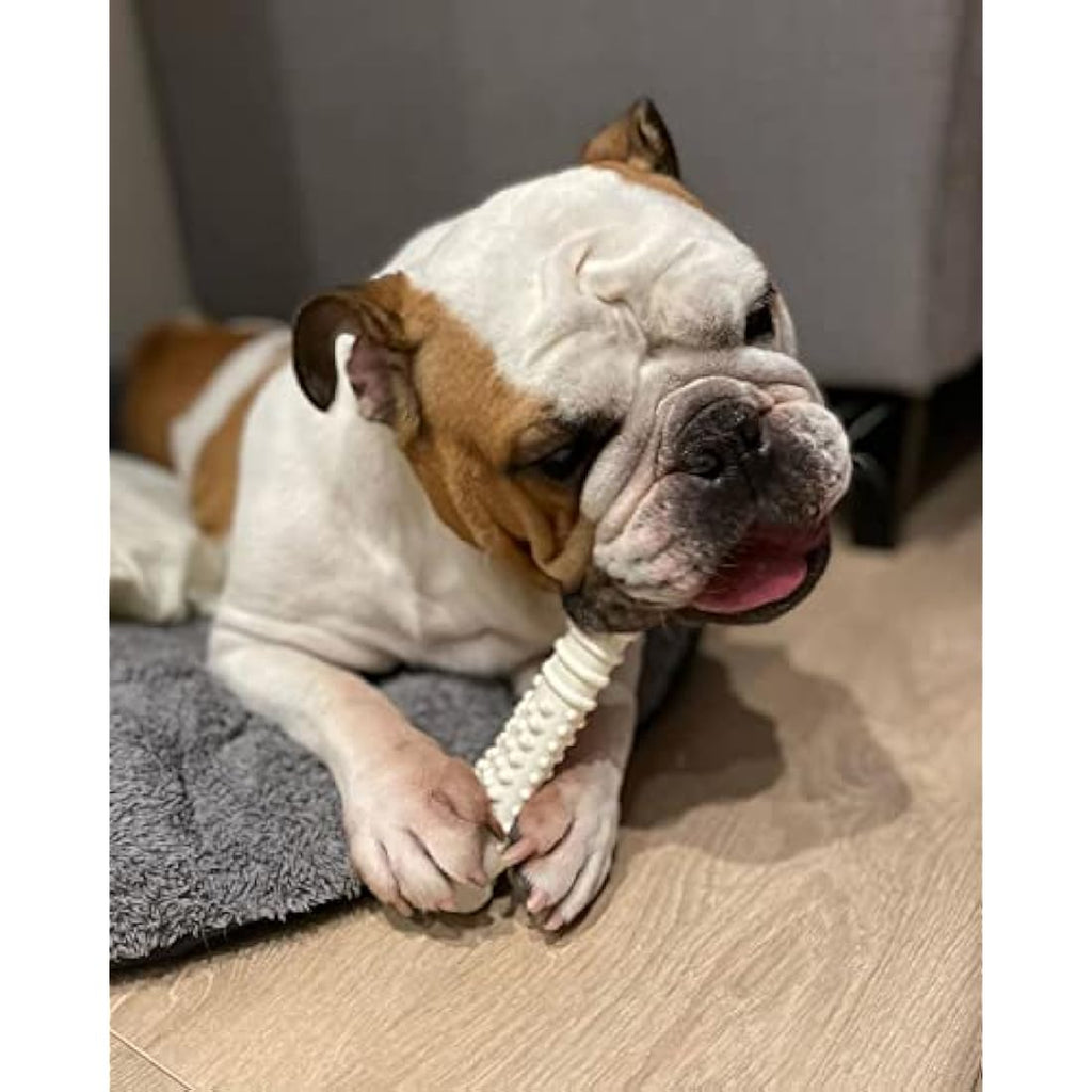 Nylabone Dura Chew Dog Toy - Durable Nylon Bone - Chicken - XL