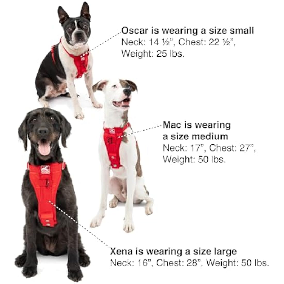 Jolof Store Crash Tested Dog Car Harness | No-Pull Smart Harness, Purple
