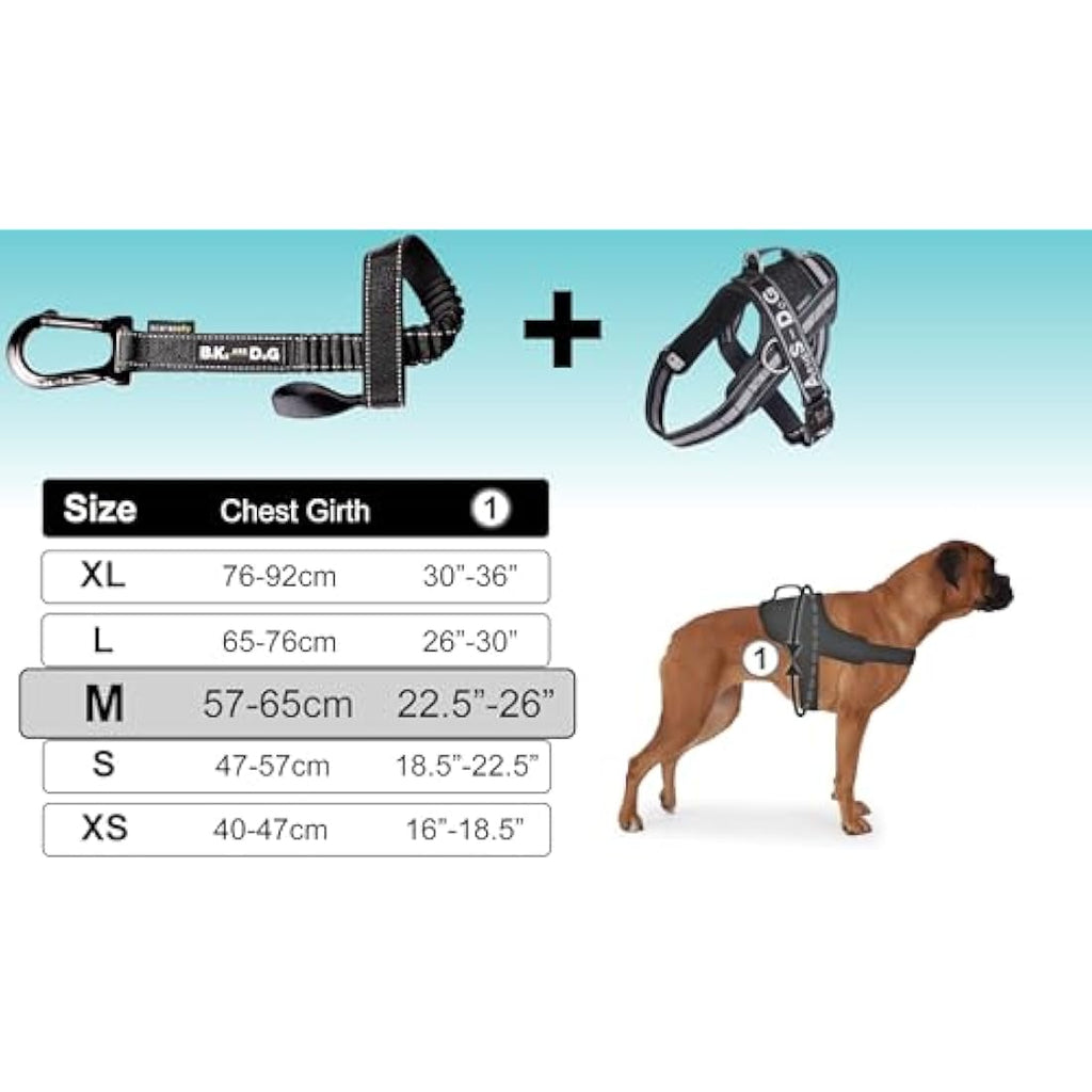 Jolof Store Dog Bike Leash and Harness Set with Side Rings – Black, M