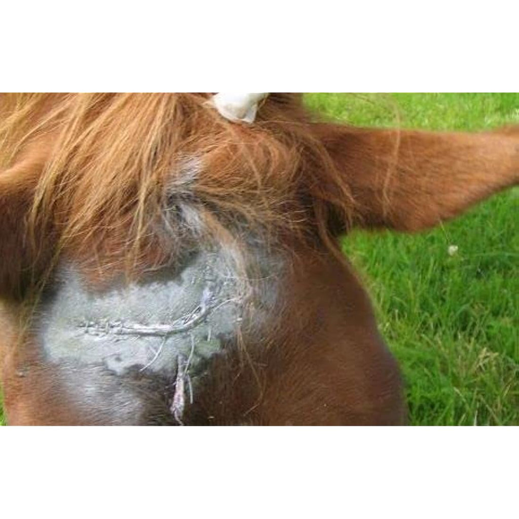 Aqueos Spray on Plaster for Pets – Silver Bandage Wound Care | 200ml