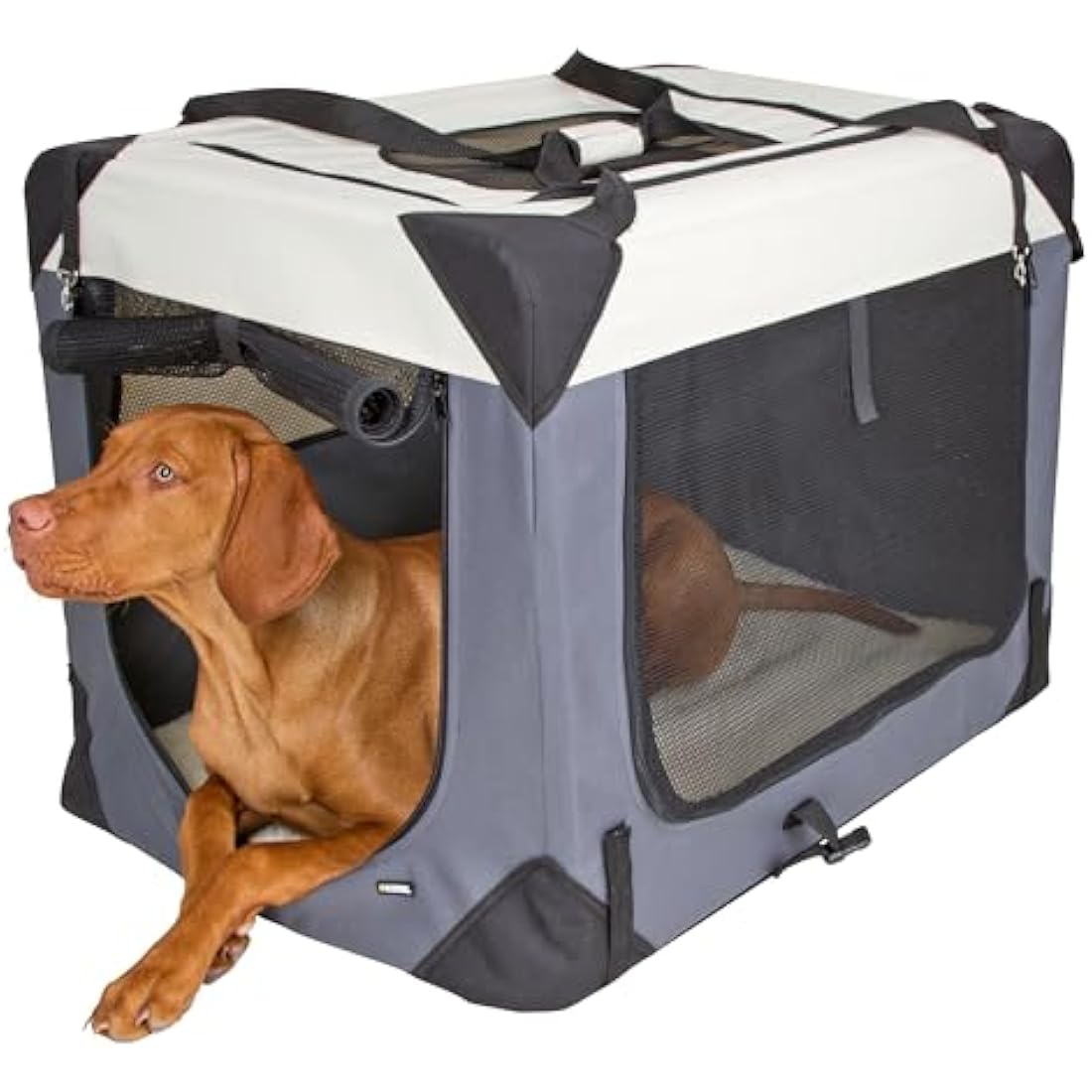 Kerbl Pet Travel Box Journey - Foldable Dog Carrier, Gray/Beige