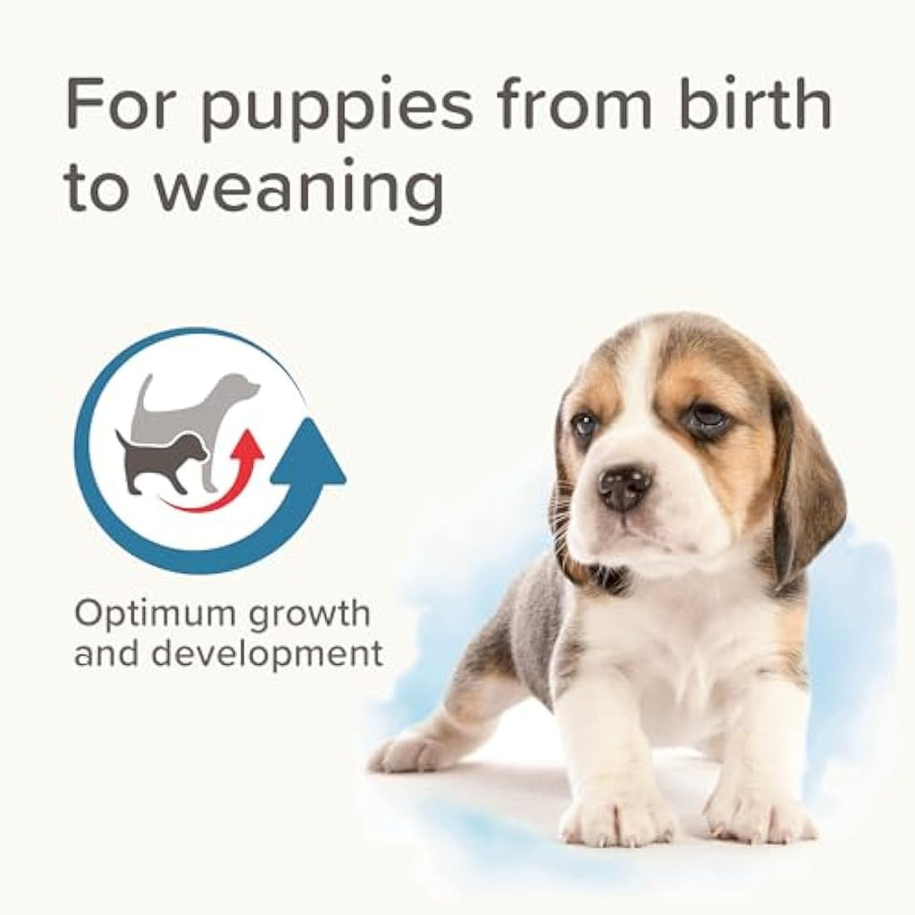 Beaphar Lactol Puppy Milk Replacer - Complete Feed with DHA - 500g