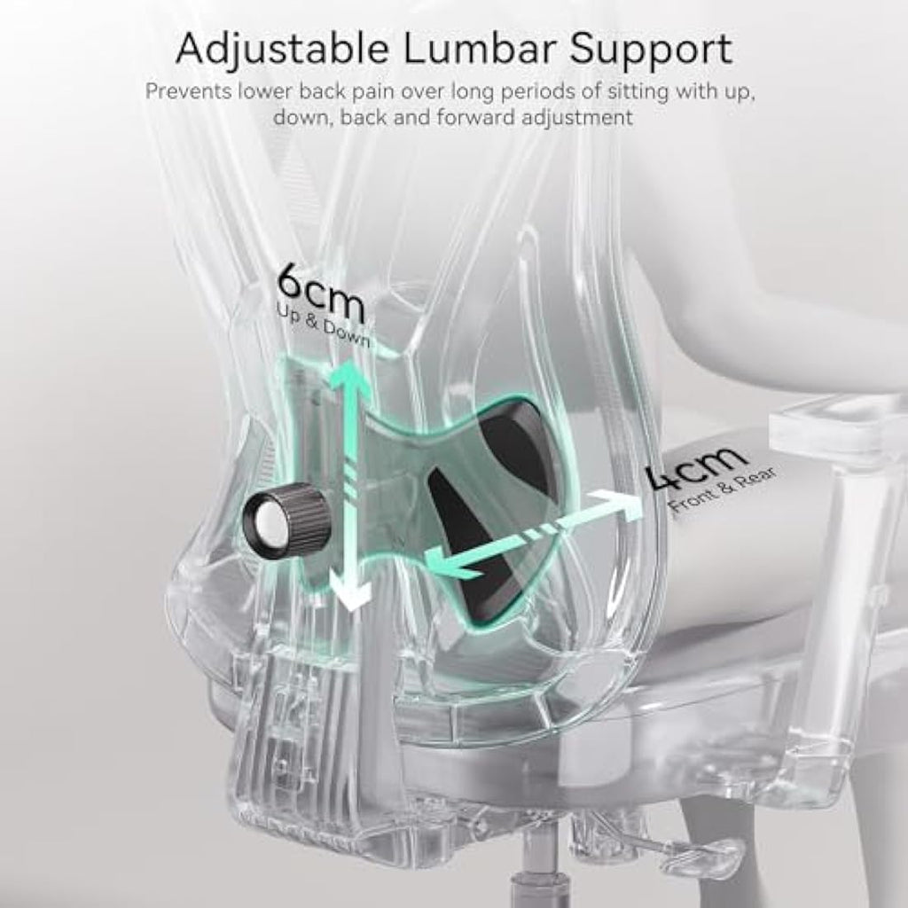 Hbada P5 Ergonomic Mesh Office Chair | Lumbar Support & Footrest