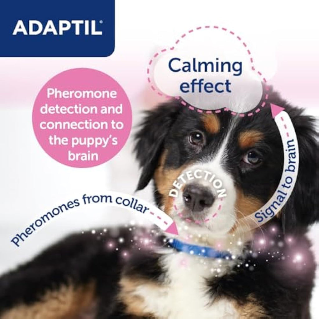 Adaptil Junior Puppy Calming Collar – Adjustable Pheromone Dog Collar