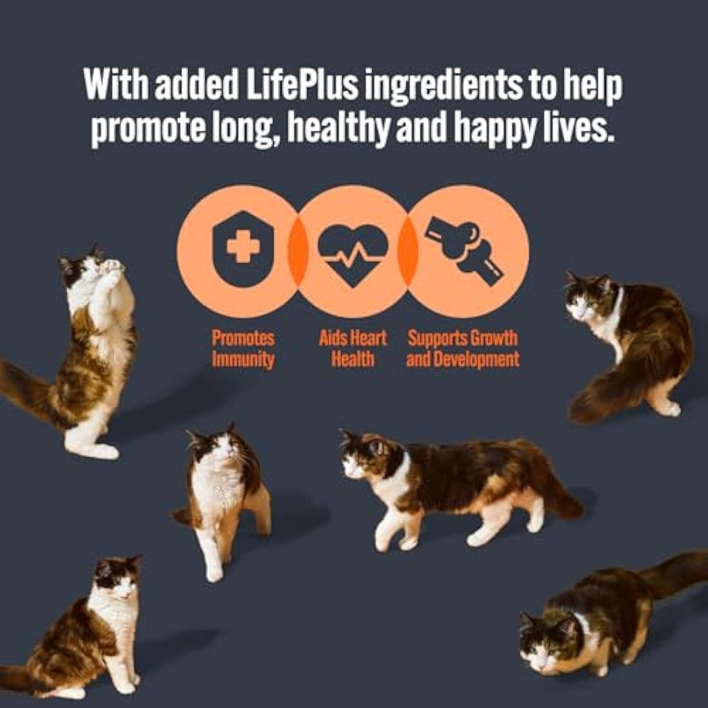 HiLife Grain Free Kitten Wet Cat Food | Chicken & Tuna Pate (32 x 70g)