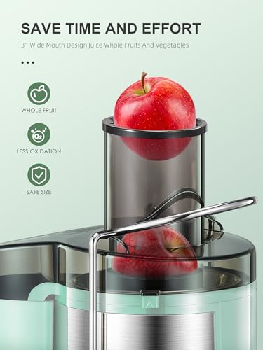 Reemix Centrifugal Juicer - 500W Wide Mouth Fruit & Vegetable Extractor